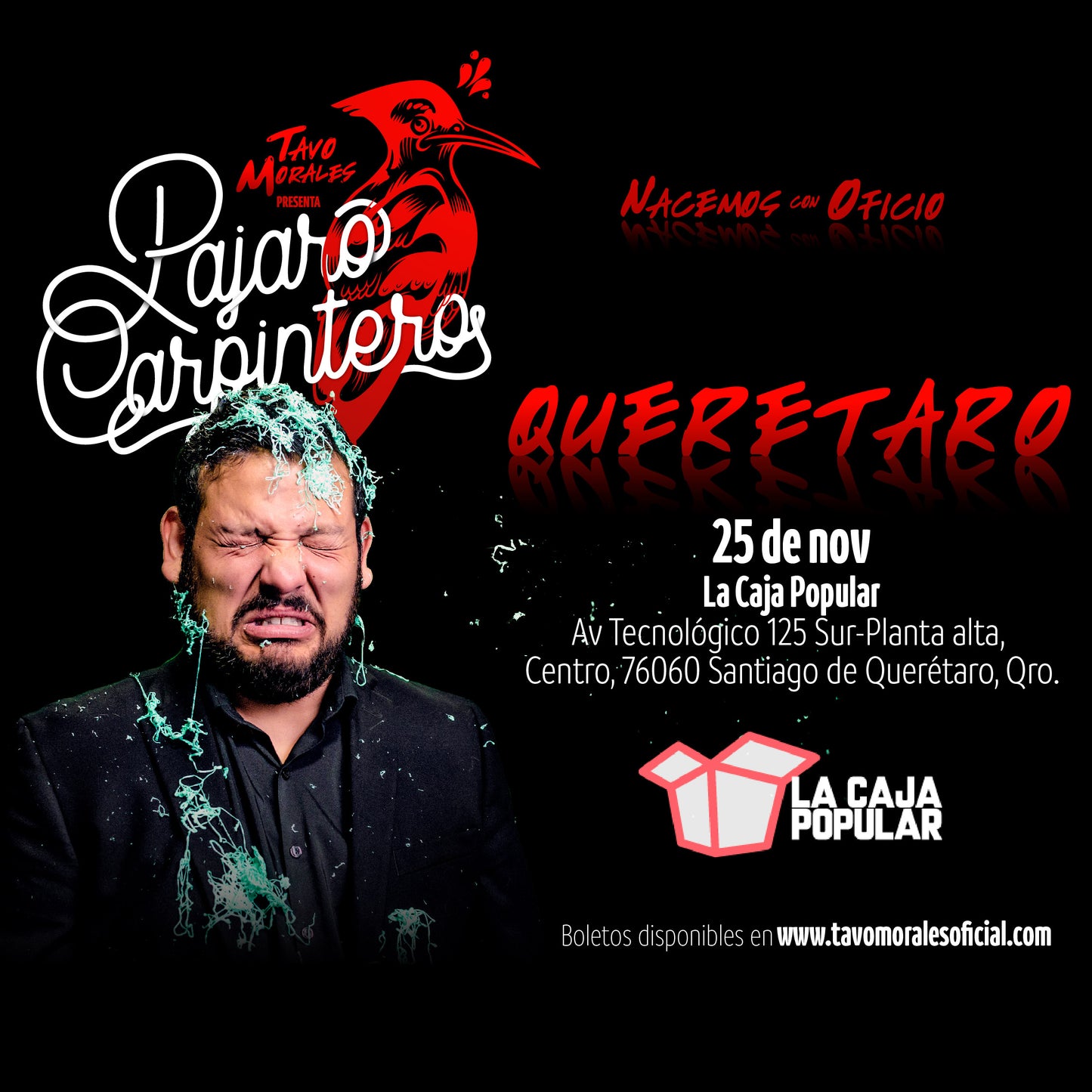Querétaro -Pájaro Carpintero